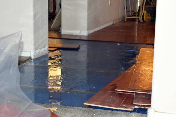 Professional Water Damage Restoration technician working in Auburn, MA